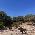 Semesterbostad Casa Anita - Centro Storico Con Vista Mare La Maddalena (Sassari)