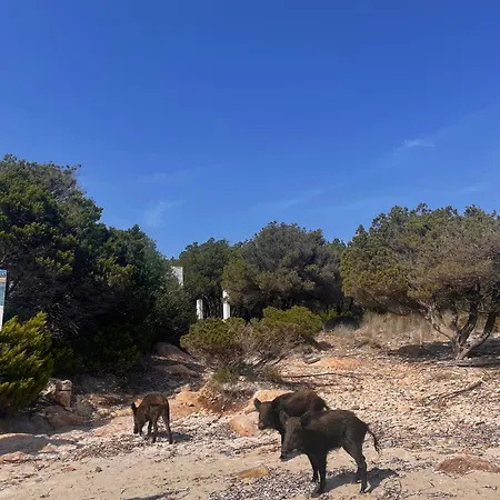 Сasa de vacaciones Casa Anita - Centro Storico Con Vista Mare La Maddalena (Sassari)